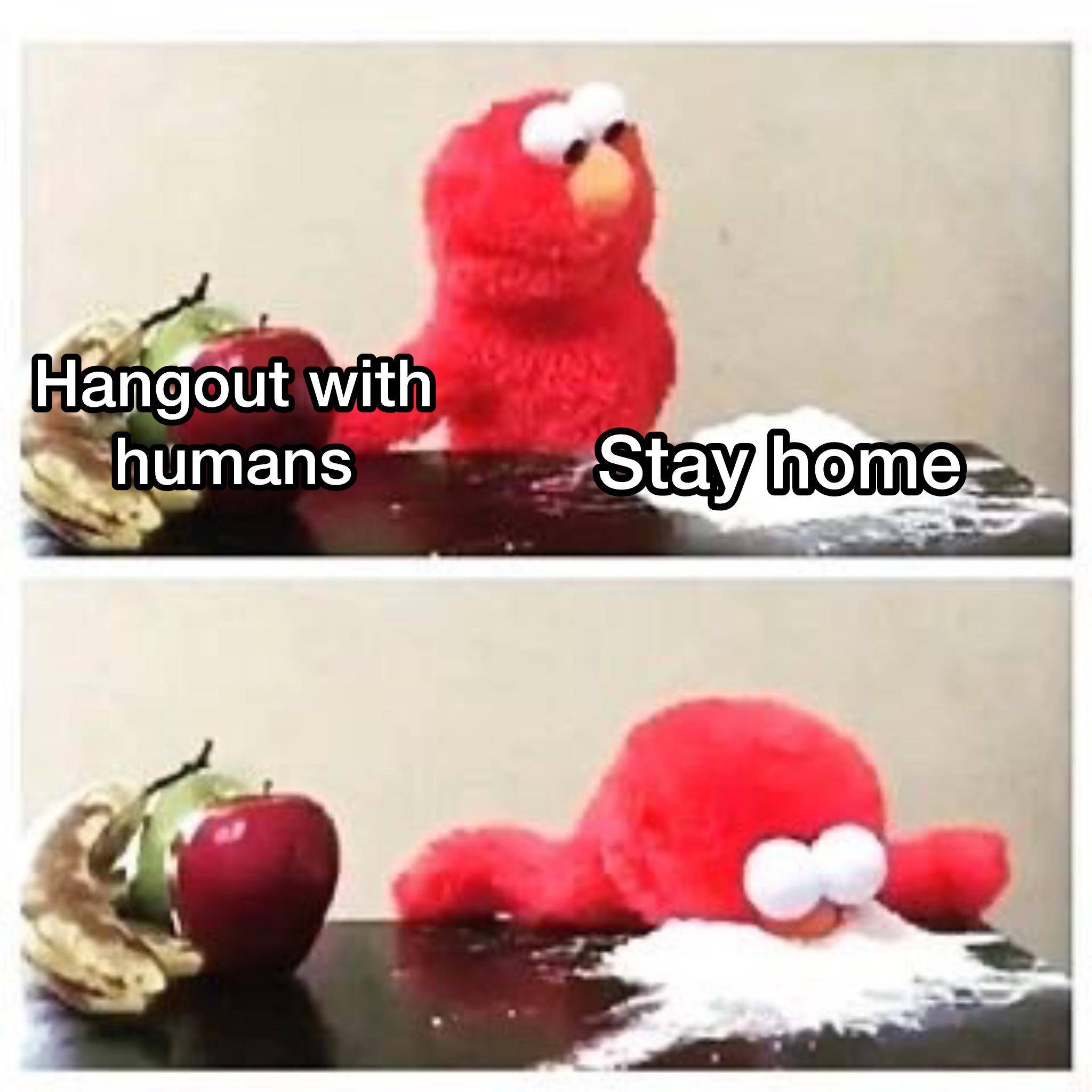 meme.jpeg