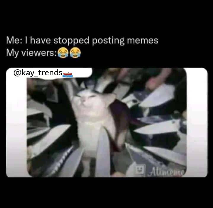 Meme.jpg