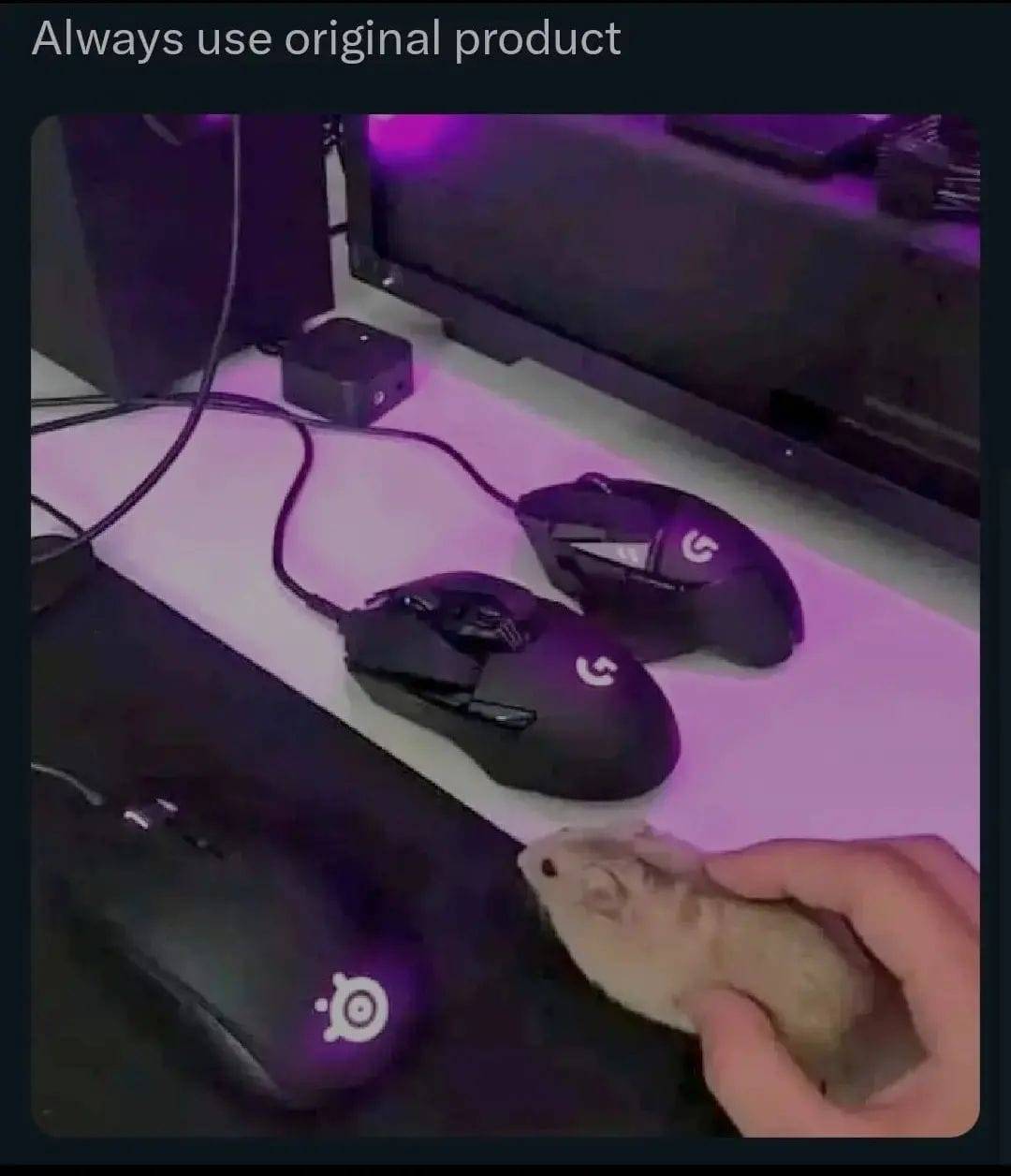 Mouse 🐀