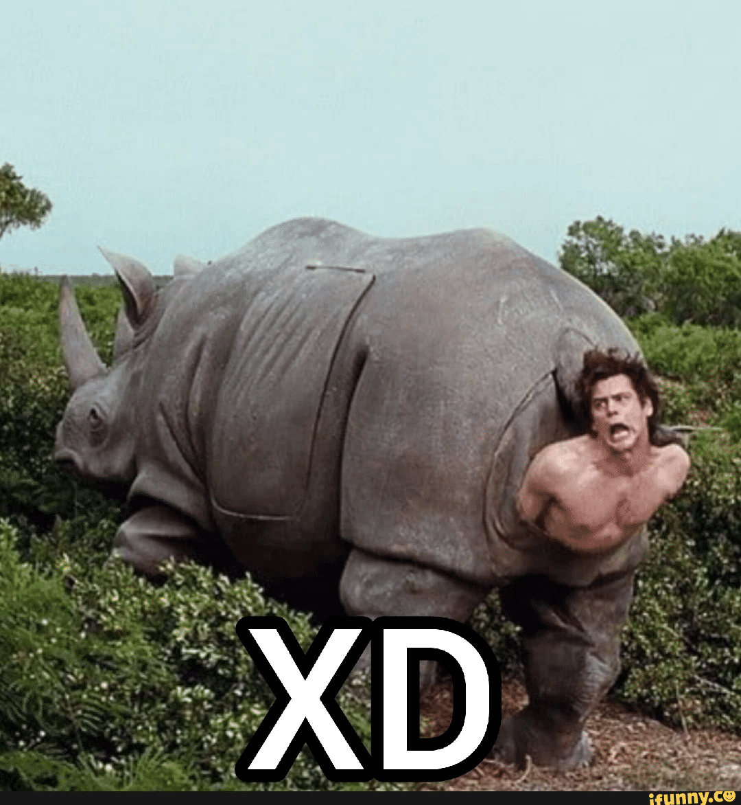 sadfdsh.png