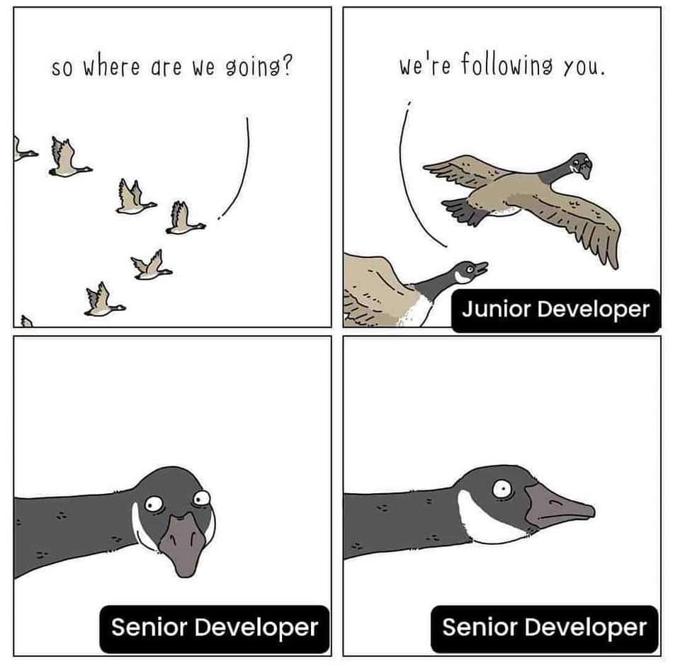 Senior .. HAHA