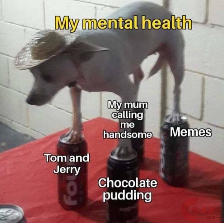 Tom & Jerry Meme