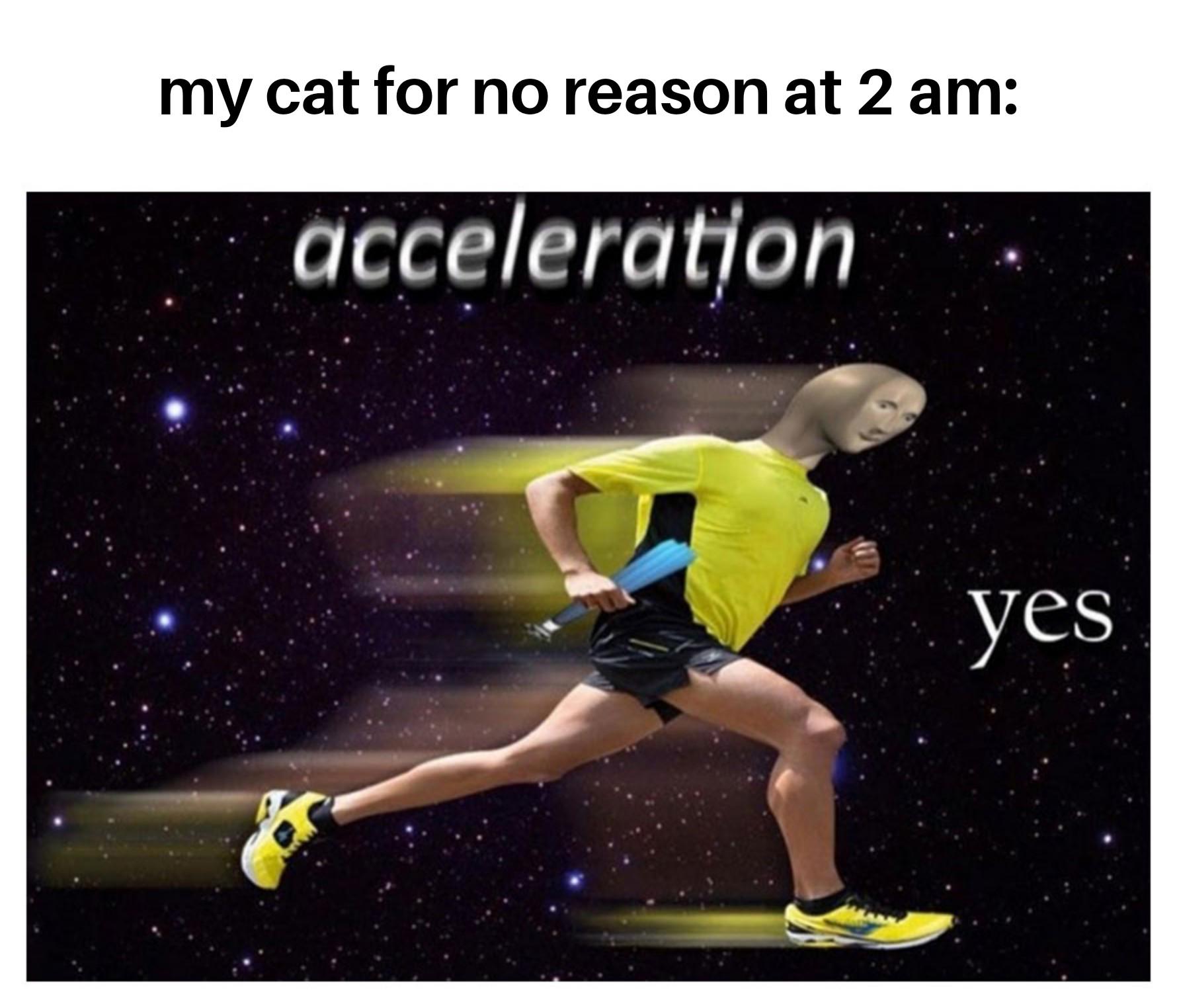 x3zsepeom1ff1.jpeg