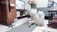 b15e1f33-2d23-4245-95e8-1f20d609df6f.png
