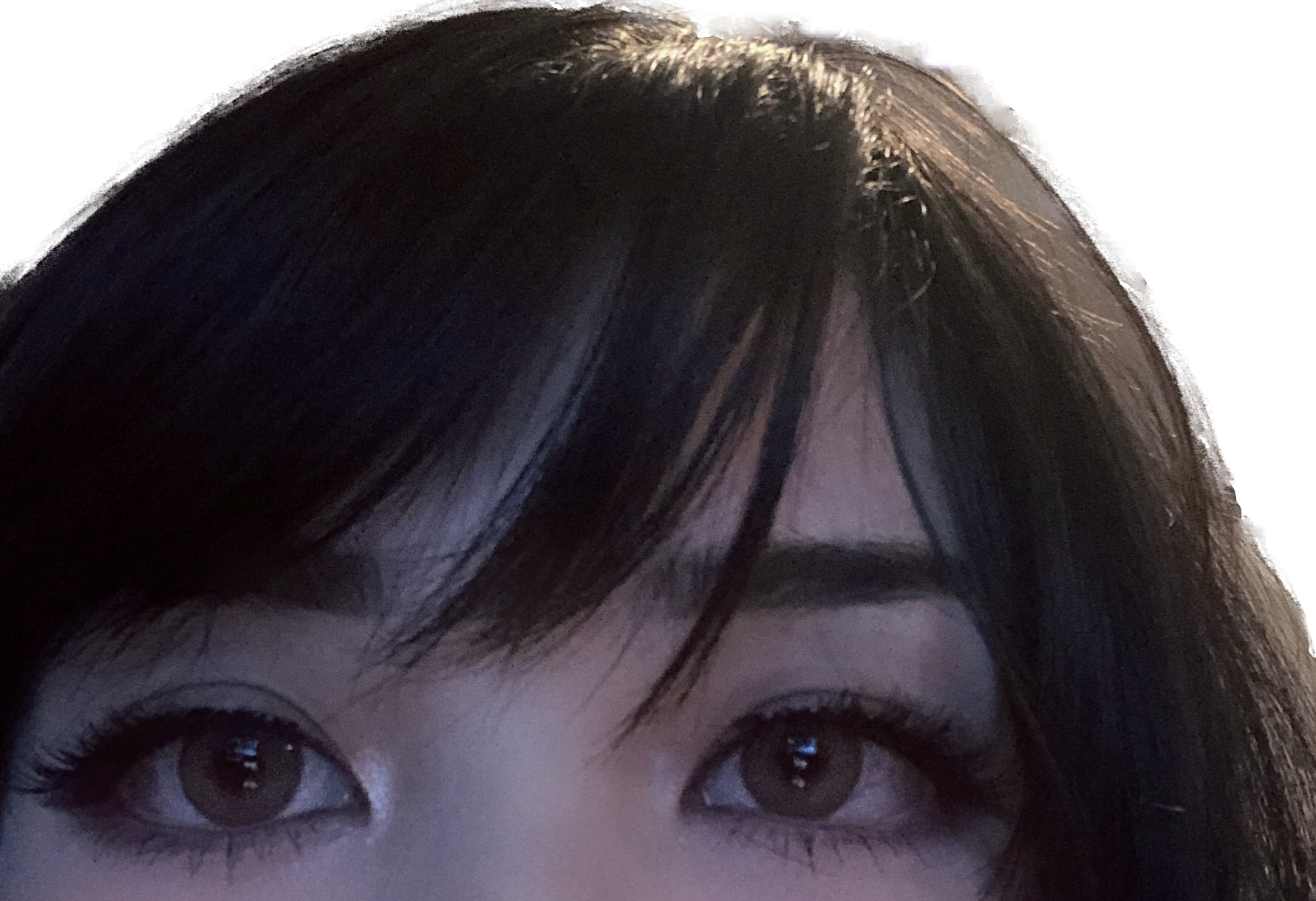 HovoG53.png
