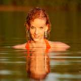 model_cladi