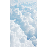 header-rIbwase8.png