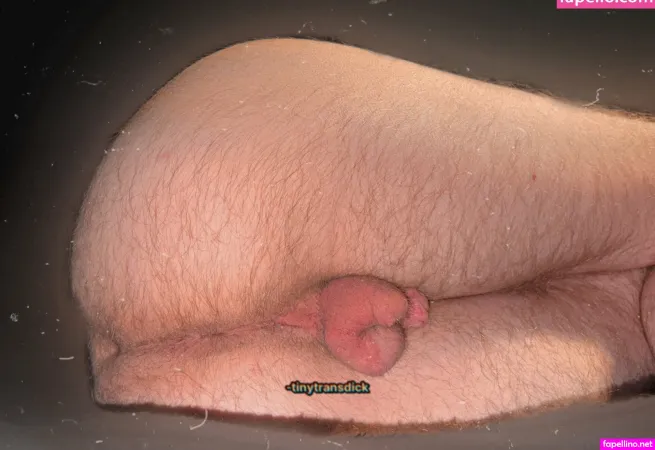 tinytransdick-thumbnail.webp