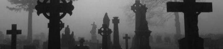trinity6669