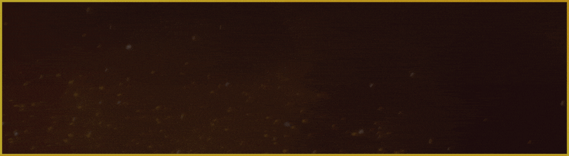 [Image: hyCCRAZ.gif]