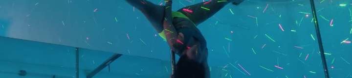 poledancer11