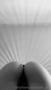 17215325_300.webp