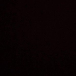 thumbnail_300.jpg