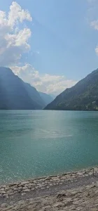 15783936_300.webp