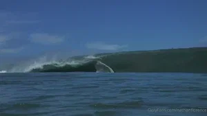 300485_300.webp