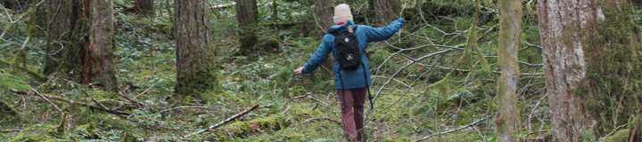 forest_daddy_24