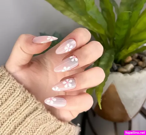 daisy-white-1-thumbnail.webp