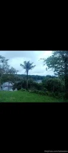 16843283_300.webp