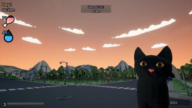 This-Cats-Torrent-Download.jpg