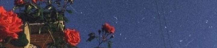 rosenrot_666