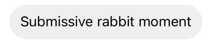 rabbitsof