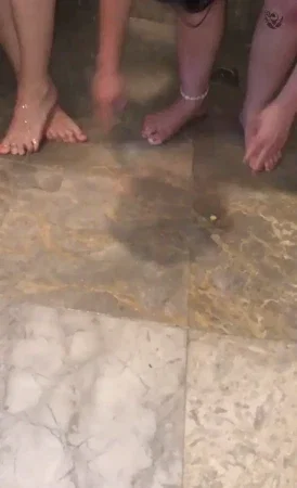 24953150_300.webp