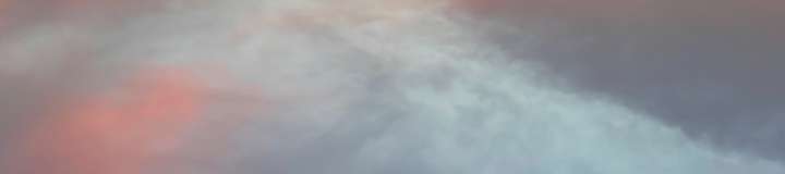 mrpnectar