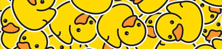 duckling_cl