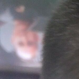 fallenmaster69_0086.jpg