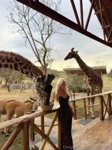 40066240_300.webp