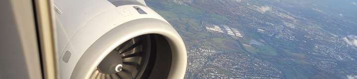 sexywings
