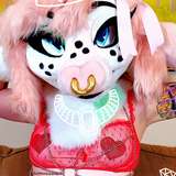 seraphcat