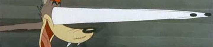carpedaem