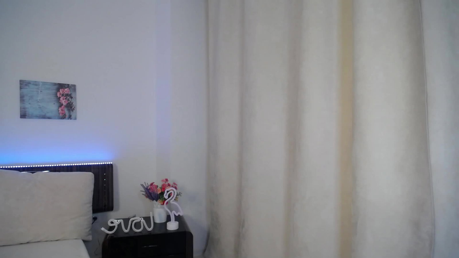 1207915.jpg