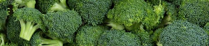 cosmicbroccoli