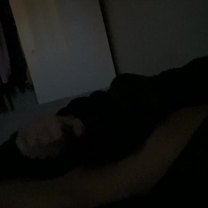 thumbnail_300.jpg