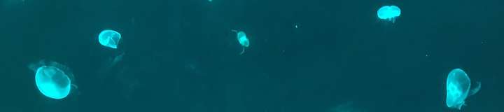 u73977512