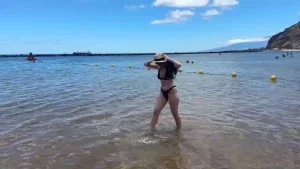 7733774_300.webp