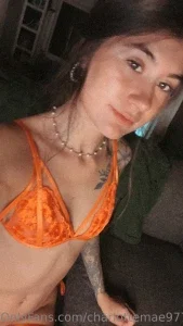 18545197_300.webp