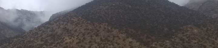 u20796262