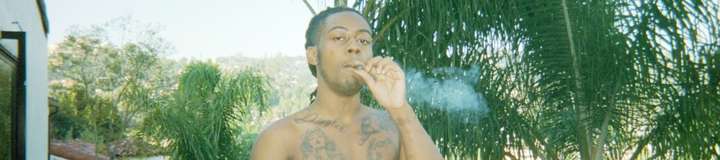 slydiggler