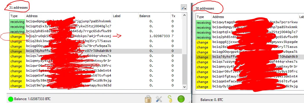 Electrum-Fake-Balance-Flash-Tool-2025.webp